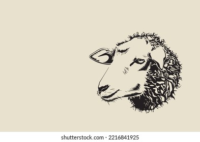 Vector images - detailed sheep head