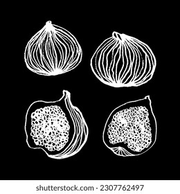 Vector images of different parts of a fig. Set, hand drawing, sketch, doodle, illustration. Tropical fruit, vegetarian, natural. White on black. Eps10