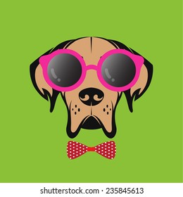 Vector images of a dog wearing glasses on green background.