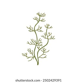 Vector images of exotic green algae with elegant thin appendages and red elements forming a living ecosystem. Ideal for creating unusual marine graphics