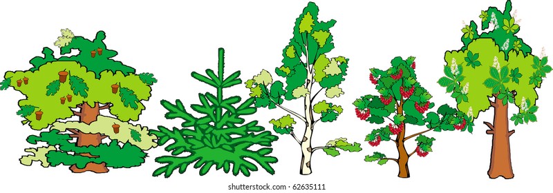 vector images of forest trees on a white background