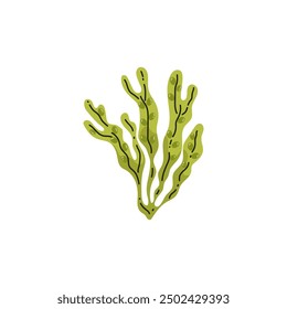 Vector images of green exotic algae with graceful thin leaves forming a living ecosystem on a white background. Ideal for creating unusual marine graphics