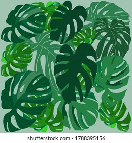 Vector images of Munster color green beautiful lush cut leaves of saturated color