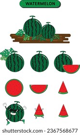 Vector images related to watermelon