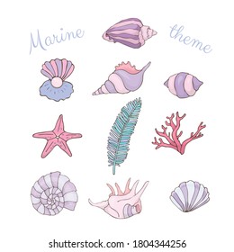 Vector images of seashells collection on white background. Summer