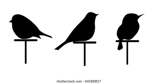Vector images silhouettes of 3 birds, set silhouette isolated.