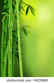 Vector images of stalks of bamboo