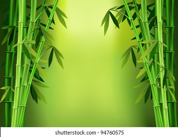 Vector images of stalks of bamboo