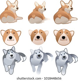Vector images (stickers) of dogs of the breed Welsh Corgi and Siberian Husky