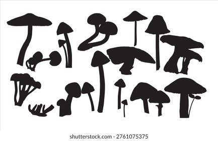 Vector images of various mushroom forms. White background.