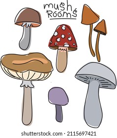 vector images of various mushrooms