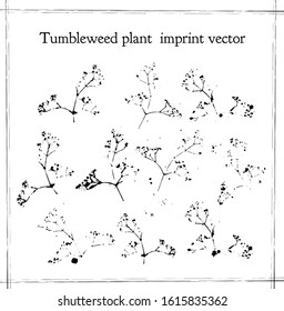 
vector imprint of the branch flowers