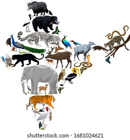 Vector India fauna map, flat elements. Animals, birds, reptiles, insects big set. Geography infographic illustration