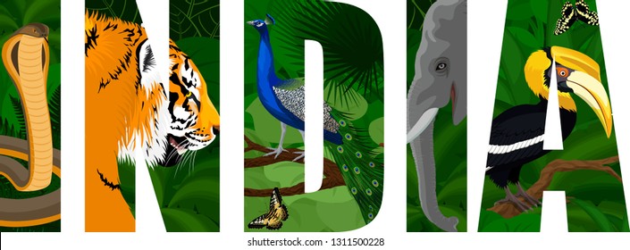 vector India illustration with male peacock peafowl, tiger, elephant, cobra snake and great hornbill