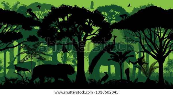 Featured image of post Vector Fondo Animales De La Selva