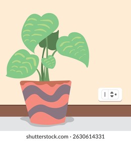 Vector of an indoor botanical plant pot or air purifier plants on the floor, close to the wall with a modern outlet. Flat graphic color design.