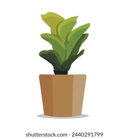Vector indoor flower in a pot. Nature cartoon vector illustration of flower