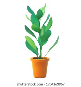 Vector of indoor plant in pot, realistic ficus front view. 3D Illustration green houseplant isolated on white background