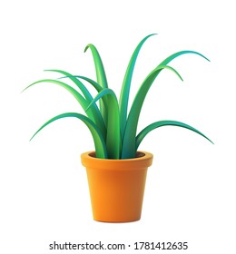 Vector of indoor plant in pot, realistic chlorophytum front view. 3D Illustration green houseplant isolated on white background.