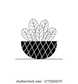 Vector indoor plants. Potted flower. Stylized home plants. Home decor and interior. Succulents, monstera, cacti. Illustration isolated on white background.