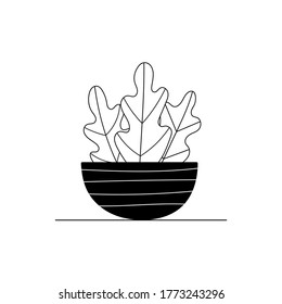 Vector indoor plants. Potted flower. Stylized home plants. Home decor and interior. Succulents, monstera, cacti. Illustration isolated on white background.