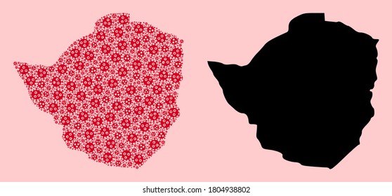 Vector infection mosaic and solid map of Zimbabwe. Map of Zimbabwe vector mosaic for outbreak campaigns and purposes. Map of Zimbabwe is created from red infection virus parts.