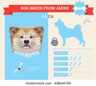 Vector info graphic of Akita Inu Dog breed. This dog breed from Japan