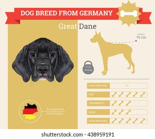 Vector info graphic of Great Dane Dog breed. This dog breed from Germany