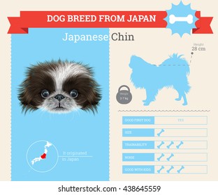 Vector info graphic of Japanese Chin Dog breed. This dog breed from Japan