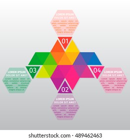 Vector info graphic template. Vector design from the hexagons divided into multi-colored triangles.