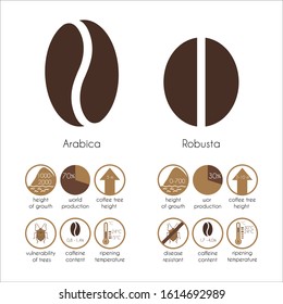 Vector info graphics of coffee varieties Arabica and Robusta. Comparative characteristics of two types of coffee beans. Organic drink. Icons and symbols isolated on a white background.