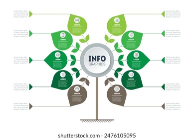 Vector infograph of agriculture processes with 10 steps. Green Business presentation concept with 10 options. Template of timeline, tree or info chart.