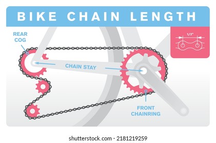 Vector infographic Bicycle chain length. Detail of the chain passing through the gears. Bike crankset. Isolated on white background.