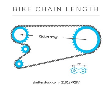 Infografía vectorial Longitud de la cadena de bicicletas. Detalle de la cadena que pasa por los engranajes. Cráter de bicicleta. Aislado sobre fondo blanco.