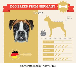 Download Dog Breeds Silhouette High Res Stock Images Shutterstock