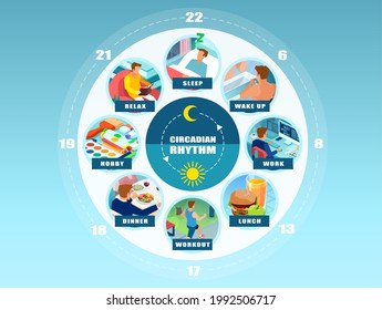 Vector infographic of a circadian rhythm and daily routine of a young man. Wellbeing concept 