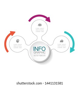 Vector infographic circular  diagram, template for business, presentations, web design, 3  options.
