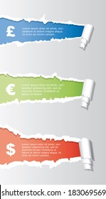 Vector infographic composition with ripped paper.