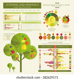 vector Infographic: The content of vitamins and minerals in the fruits of fruit trees. Comparative analysis. Visual diagrams and data tables. Basics of healthy nutrition.