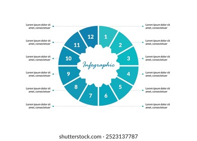 Vector Infographic Design with 12 Circular Steps: Perfect for Presentations, Process Diagrams, Workflow Layouts, Banners, and Info Graphs. A Clean and Modern Approach for Visual Communication.