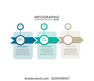 Vector infographic design with 3 options or steps for business concept vector illustration	