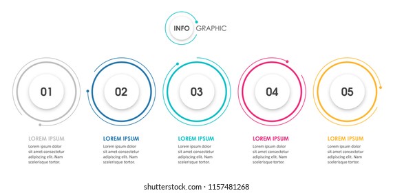 Vector Infographic design template with 5 options or steps. Infographics for business concept. Can be used for presentations banner, workflow layout, process diagram, flow chart, info graph