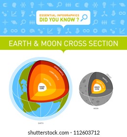 Vector Infographic - Earth And Moon Cross Section