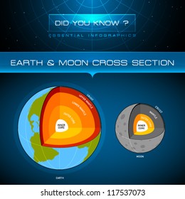 Vector Infographic - Earth And Moon Cross Section