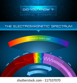 Vector Infographic - The Electromagnetic Spectrum