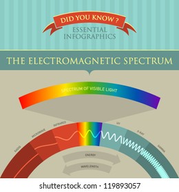 Vector Infographic - The Electromagnetic Spectrum