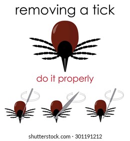 vector infographic illustration on how to properly remove a tick, and avoid lyme disease.