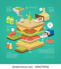 vector infographic with layered sandwich