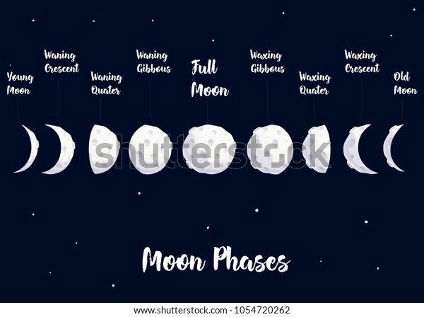 vector infographic of phases moon cartoon in\
the dark blue\
background
