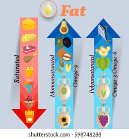 Vector Infographic: Proper nutrition Fat Saturated Unsaturated